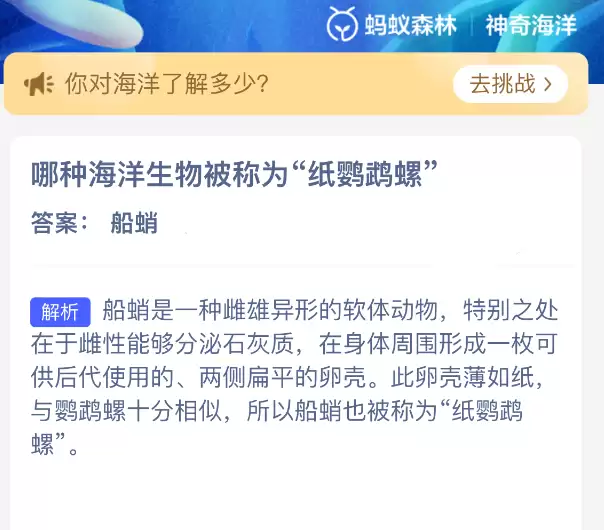 哪种海洋生物被称为纸鹦鹉螺