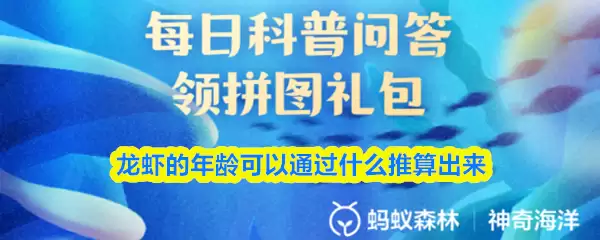 龙虾的年龄可以通过什么推算出来