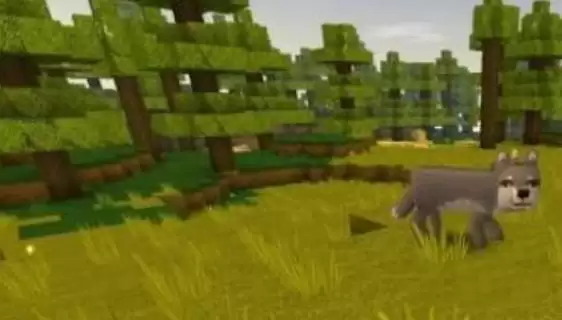 迷迭世界2026版狼怎么驯服