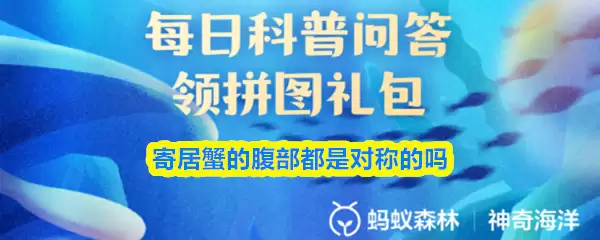 寄居蟹的腹部都是对称的吗