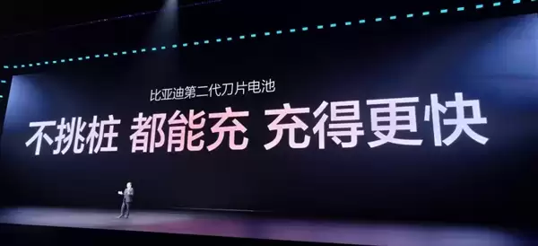 -20℃极寒不打折不！比亚第-代刀片池车实测：最快仅需分29