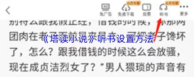 《塔读小说》听书设置方法