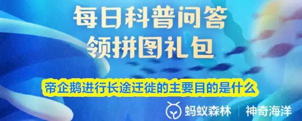 帝企鹅进行长途迁徒的主要目的是什么