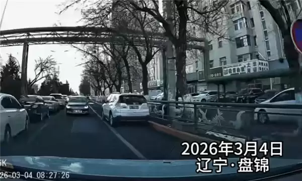 车主逆行还称小区的都这么开！结果凭一己之力让小区的人都被罚了