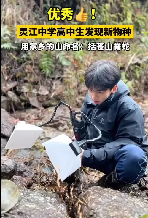 17岁男生发现新物种筷子蛇 直接发SCI期刊封神