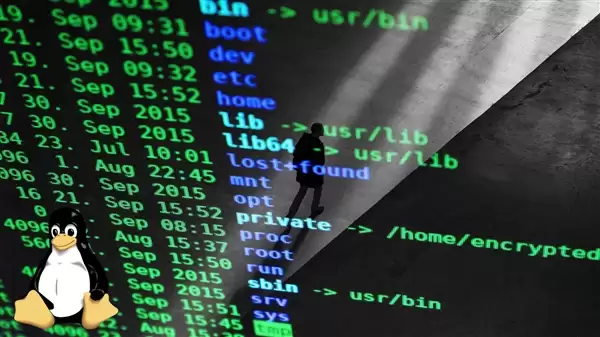 AMD副总裁完全用AI写了个显卡驱动！但和你想的不太一样