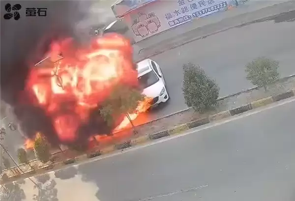 男子大火中淡定掉头致车辆被烧 网友急疯