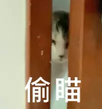 ChatGPT和Claude争了个寂寞！用户重叠仅11%，中国应用霸榜移动端