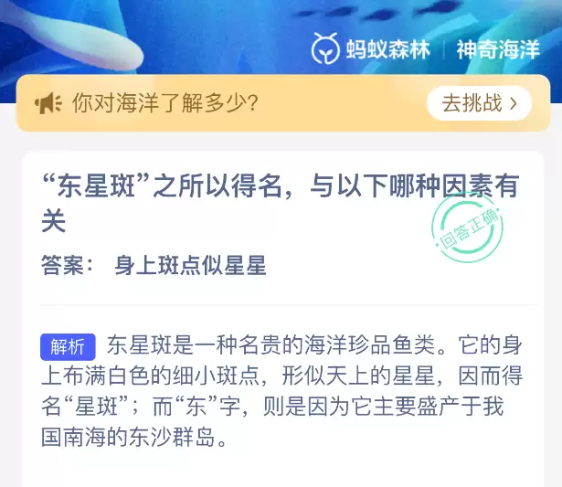 东星斑之所以得名与以下哪种因素有关