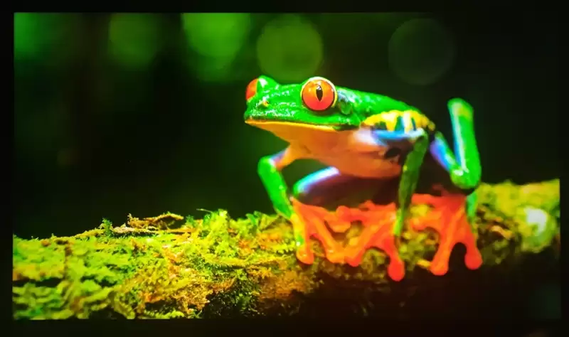 OLED时代终结者!RGB-Mini LED电视海信E8S评测:这才是好画质