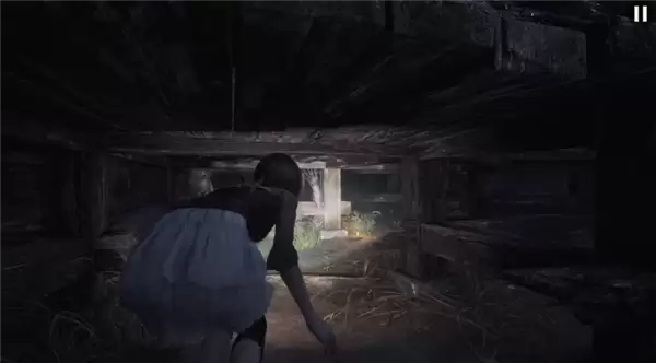 298元 日式恐怖《零：濡鸦之巫女 重制版》正式上线 双胞胎姐妹误入怨灵废村 