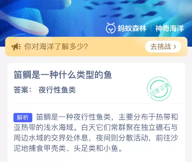 笛鲷是一种什么类型的鱼