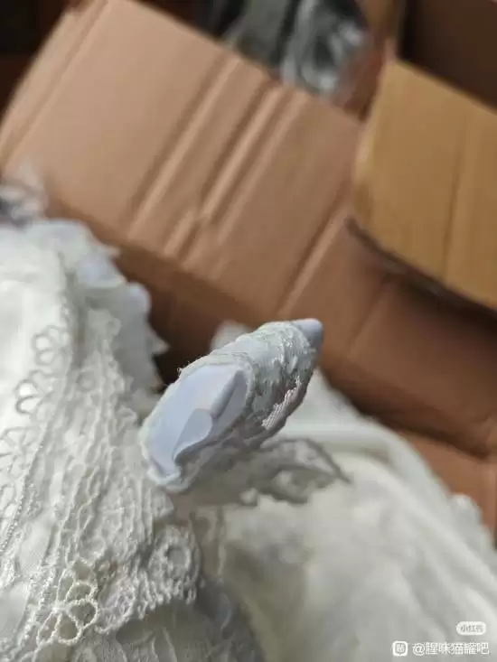 百万粉丝Coser翻车！租借Cos服污损报废 业内称是惯犯