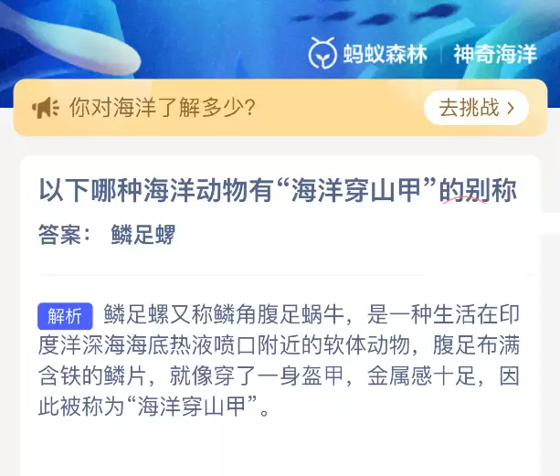 以下哪种海洋动物有海洋穿山甲的别称