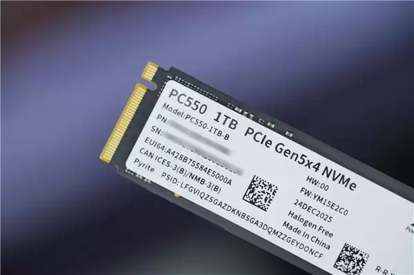 长江存储首款商用PCIe 5.0 SSD！PC550 1TB图赏