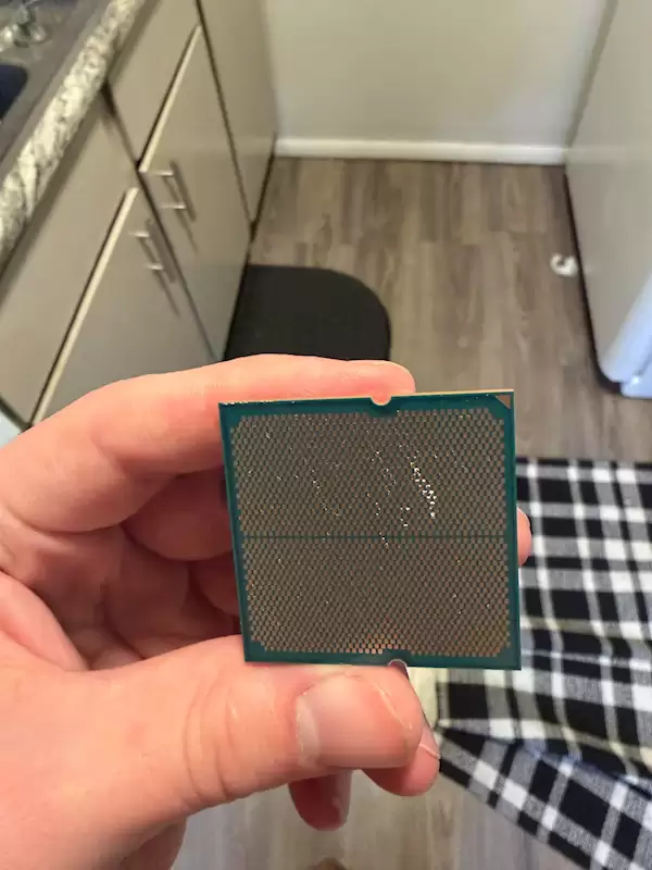 第一次见：锐龙7 7700X居然被狗吃了！