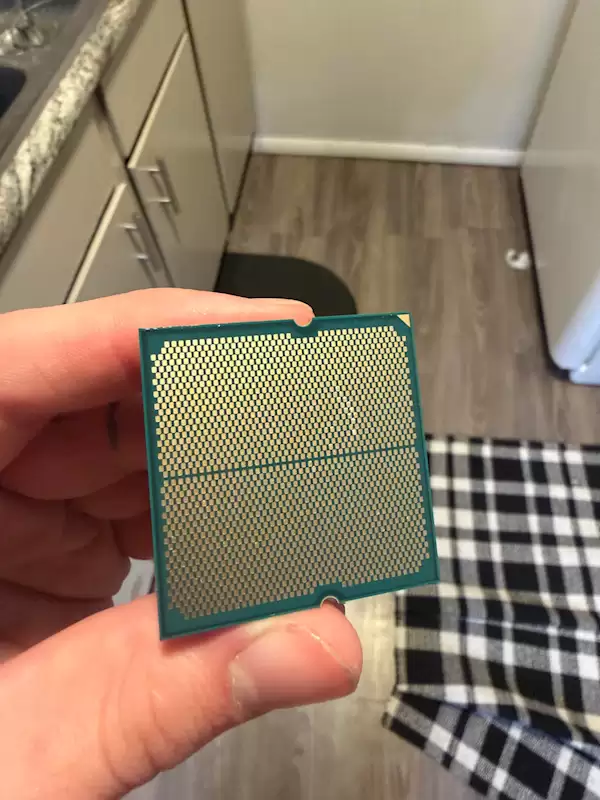 第一次见：锐龙7 7700X居然被狗吃了！