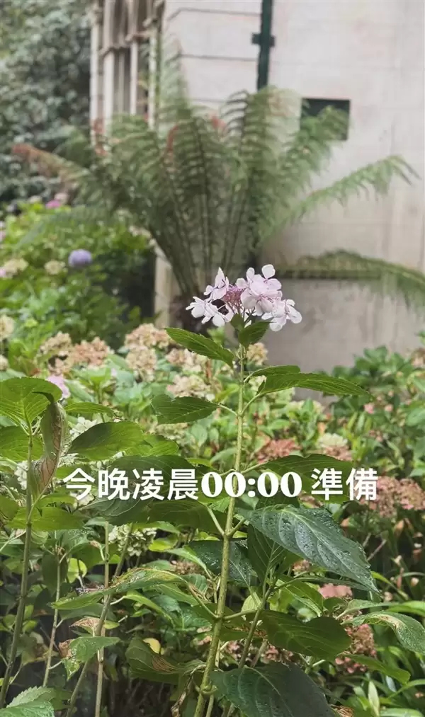 新专辑终于来了！周杰伦发文：今晚0点准备