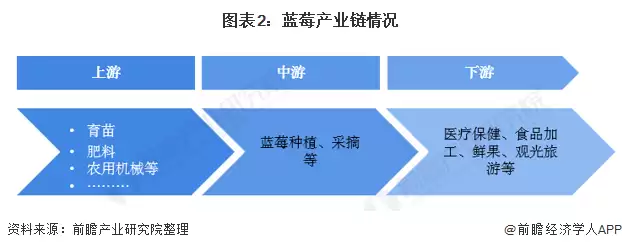 图表2：蓝莓产业链情况