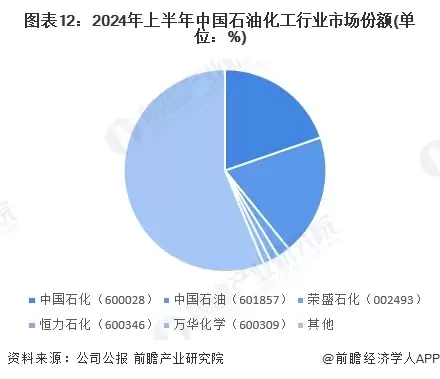 图表12:2024年上半年中国石油化工行业市场份额(单位:%)