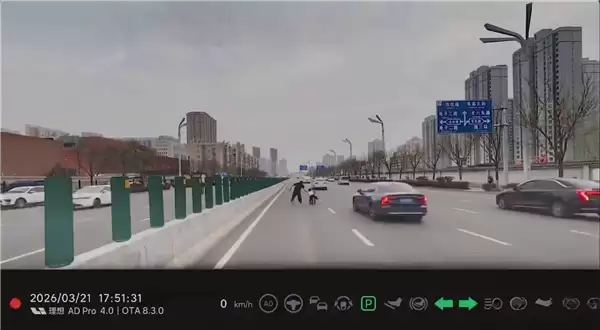 惊险瞬间！小孩闯入快车道 理想车主紧急停车飞奔救人