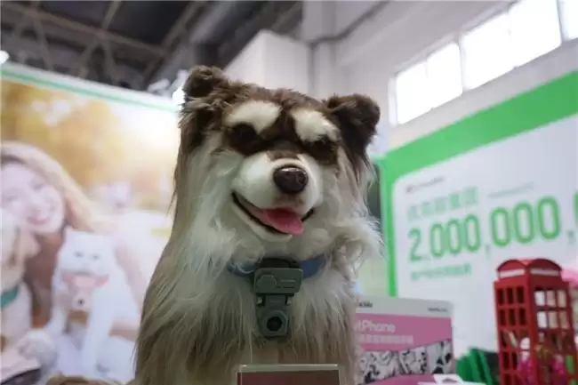 优克联双品闪耀2026京宠展，PetPhone&PetCam引领智能养宠新风潮
