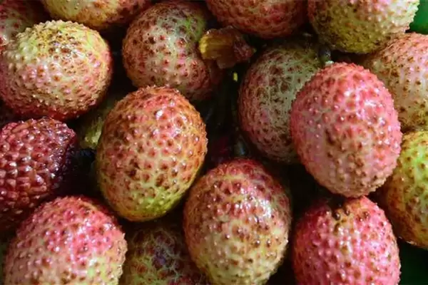 爱吃荔枝的人天塌了：热门品种减产严重