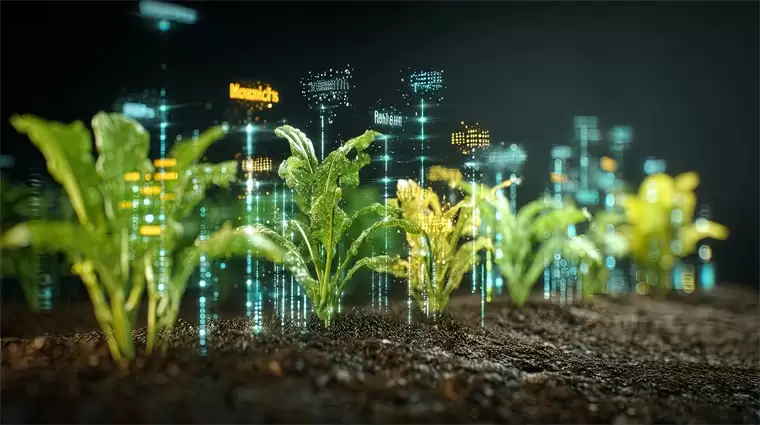 湖北发布政策!加快农业科技创新应用,推动生物育种等领域创新