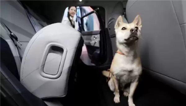 小车也有大空间！零跑A10得房率88.1%：首创106L可冲洗下沉储物舱