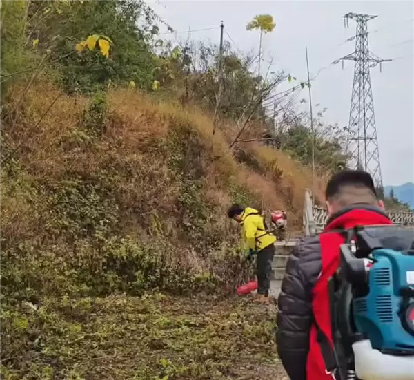 男子清理公园杂草吸引200余人加入:半年减重20斤