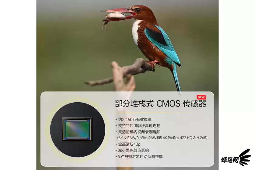 Z8Z9的精髓传承 尼康Z6III单机售价18999元 Z8Z9的精髓传承 尼康Z6III单机售价18999元