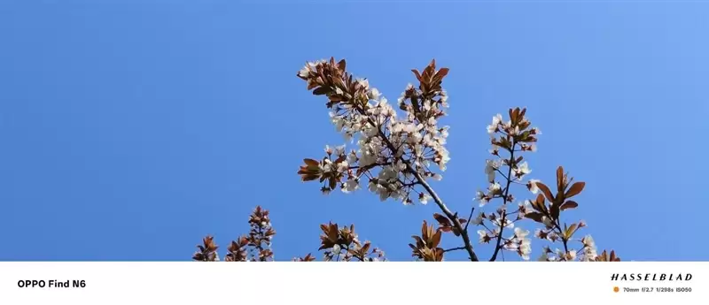 折叠屏再无折痕顾虑!OPPO Find N6手机评测:超平展内屏开创历史 哈苏XPAN模式体验胶卷荣光