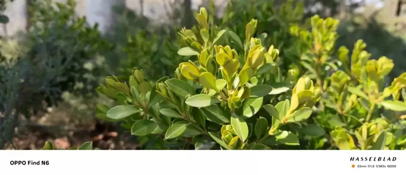 折叠屏再无折痕顾虑!OPPO Find N6手机评测:超平展内屏开创历史 哈苏XPAN模式体验胶卷荣光