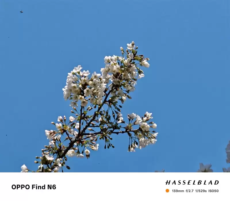 折叠屏再无折痕顾虑!OPPO Find N6手机评测:超平展内屏开创历史 哈苏XPAN模式体验胶卷荣光