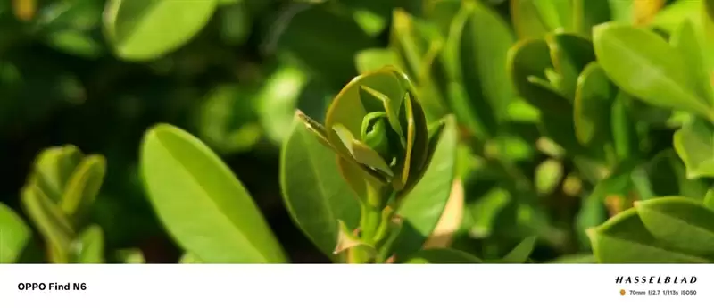 折叠屏再无折痕顾虑!OPPO Find N6手机评测:超平展内屏开创历史 哈苏XPAN模式体验胶卷荣光