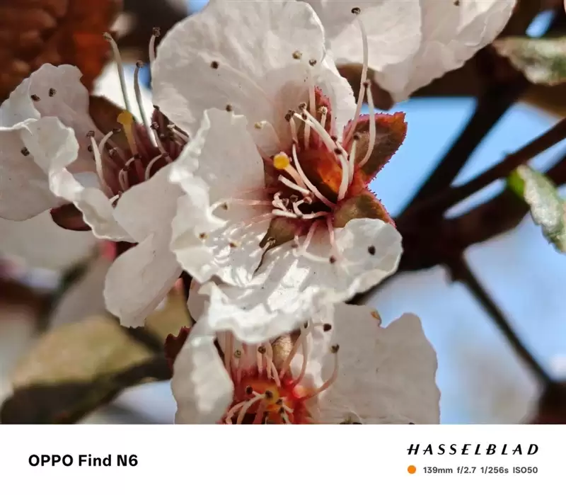 折叠屏再无折痕顾虑!OPPO Find N6手机评测:超平展内屏开创历史 哈苏XPAN模式体验胶卷荣光