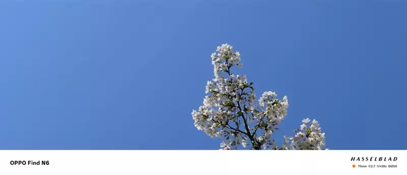 折叠屏再无折痕顾虑!OPPO Find N6手机评测:超平展内屏开创历史 哈苏XPAN模式体验胶卷荣光