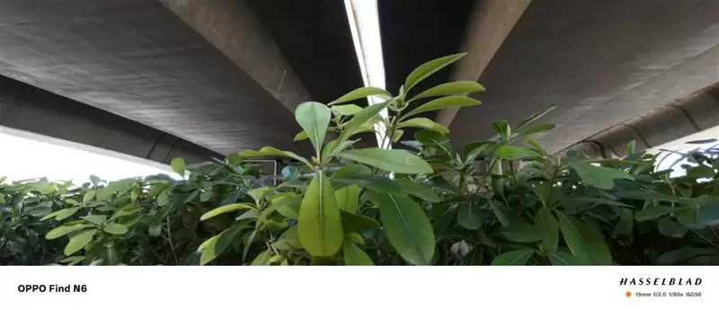 折叠屏再无折痕顾虑!OPPO Find N6手机评测:超平展内屏开创历史 哈苏XPAN模式体验胶卷荣光