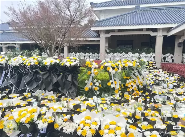 张雪峰追悼会今日举行 民众自发起大早排长队送别