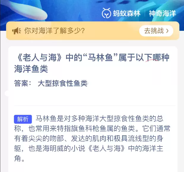 老人与海中的马林鱼属于以下哪种海洋鱼类