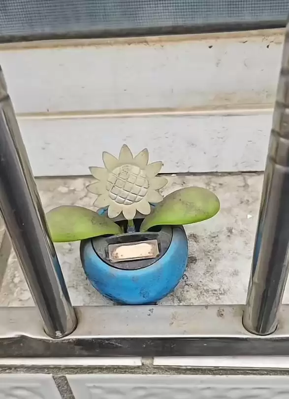 男子时隔多年返乡：发现10年前的玩具仍在摇摆