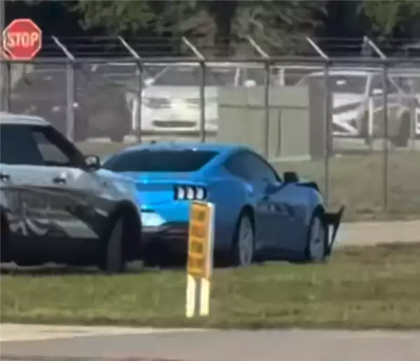 佛罗里达州真不养闲人!男子为探望姐姐 驾车冲进机场劫机