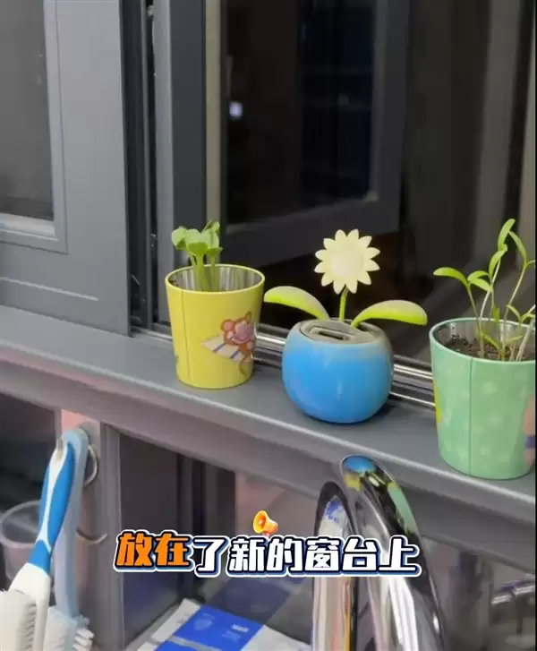 男子时隔多年返乡：发现10年前的玩具仍在摇摆