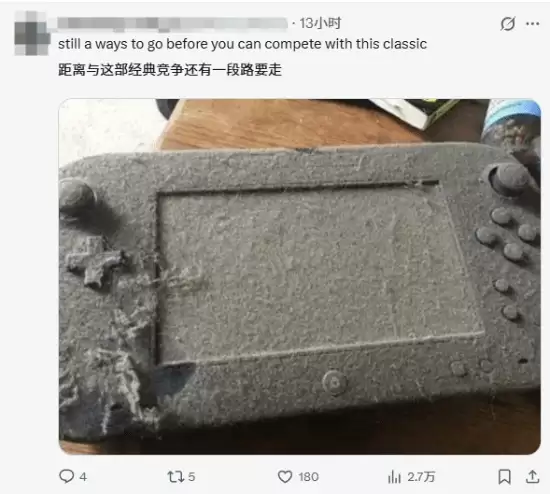 Switch吃灰四年照片引热议！日本网友晒长毛同款