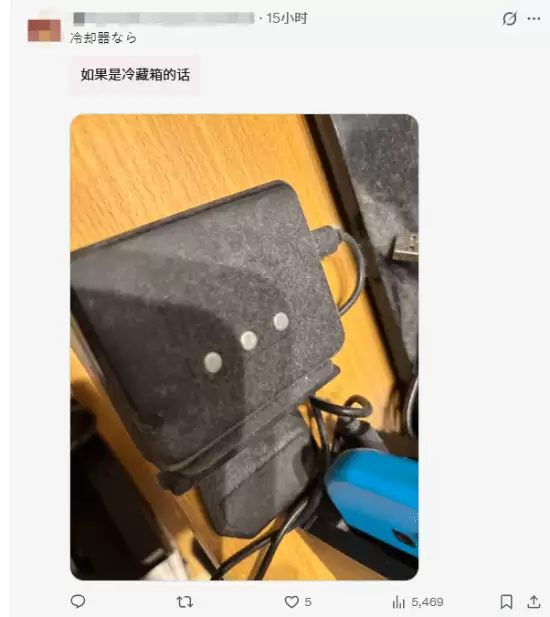 Switch吃灰四年照片引热议！日本网友晒长毛同款