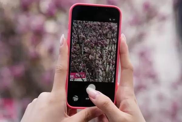 iPhone 17e：基础版 不基础