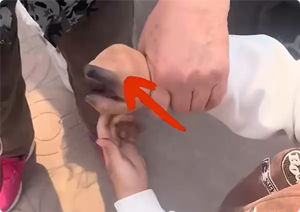 男孩将充电线插进电动自行车充电口 手指瞬间被烧黑