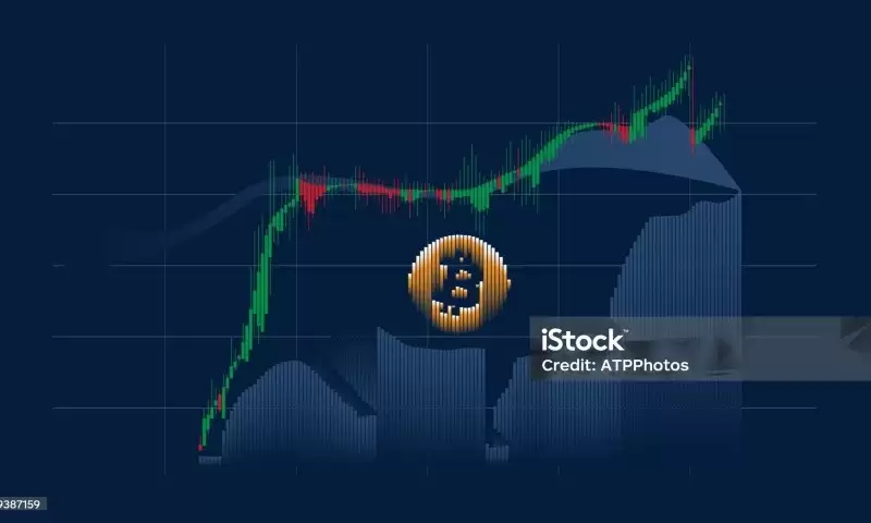 NCT币总发行量多少?NCT币发行量、流通量介绍及对市场影响分析