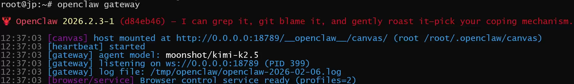 OpenClaw网关启动成功