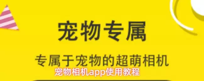 宠物相机app使用教程